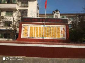 吃什么水果最容易减肥